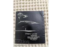 Стефан Цанев:Перигеи или най-голямото приближаване до Земята