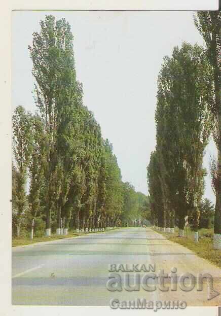 Картичка  България  Свиленград Пътят към кв."Гарата"*