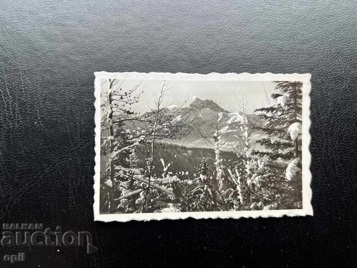 Малка Стара Картичка - Швейцария - Зъбите на Юга