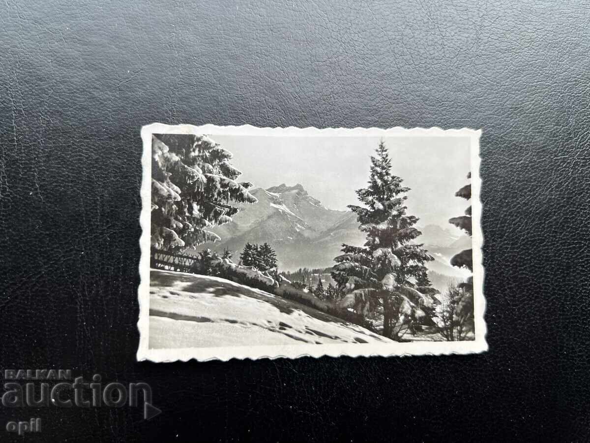 Малка Стара Картичка - Швейцария - Зъбите на Моркълс Малка Стара Картичка - Швейцария - Зъбите на Моркълс