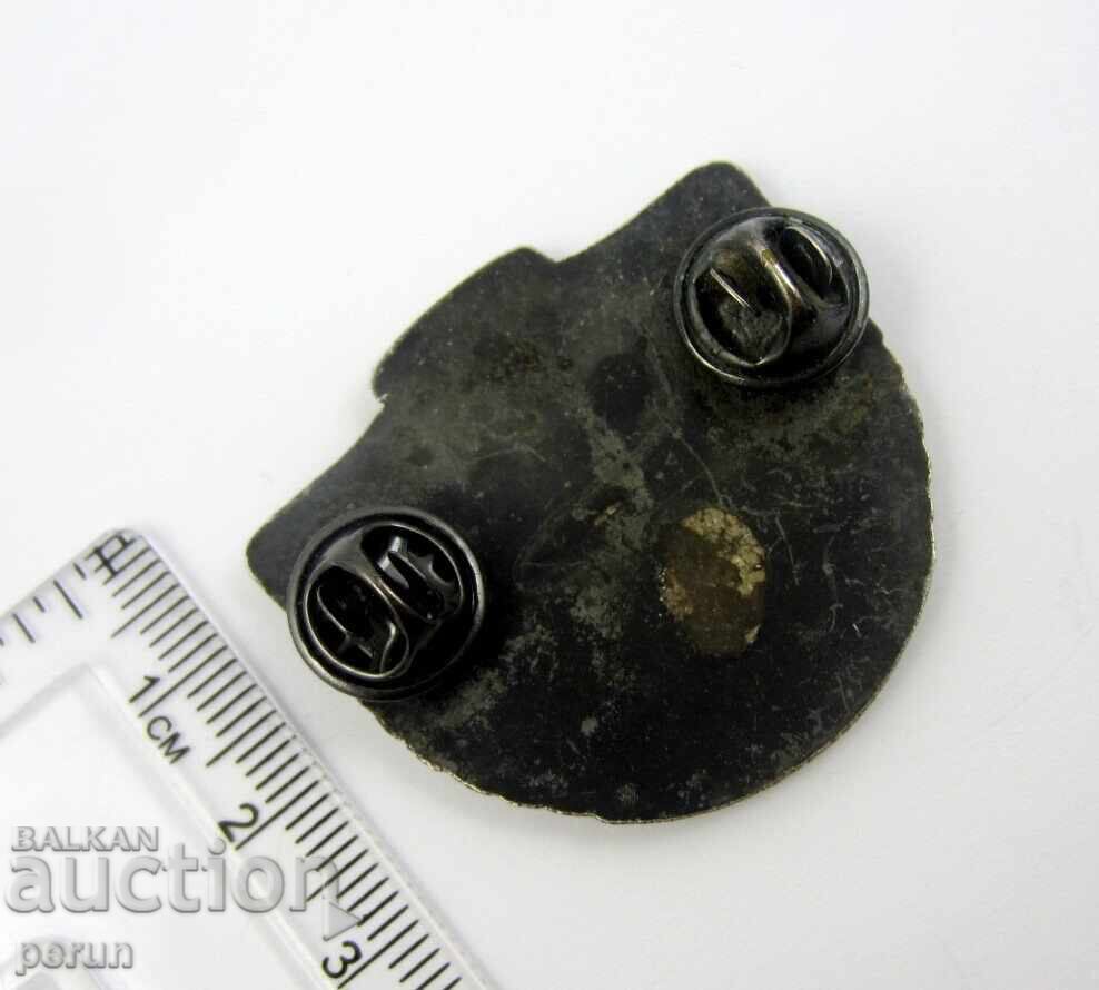 Livrarea Echipă de control de luptă a Forțelor Aeriene ale SUA - Forțe de elită - Semn rar