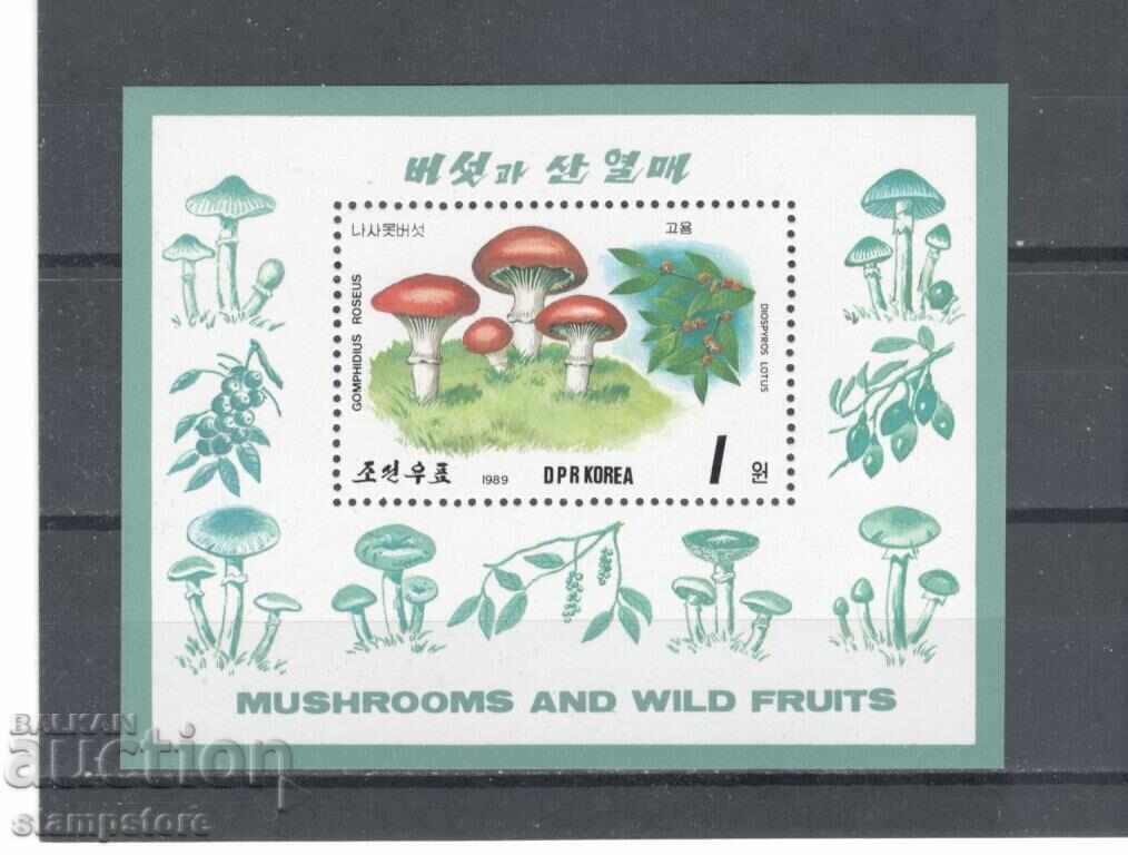 Bloc Coreea de Nord - Ciuperci Bloc Coreea de Nord - Ciuperci