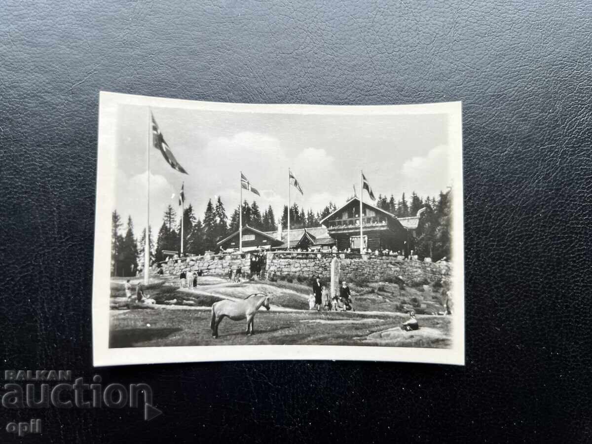 Small Old Postcard - Norway - Oslo