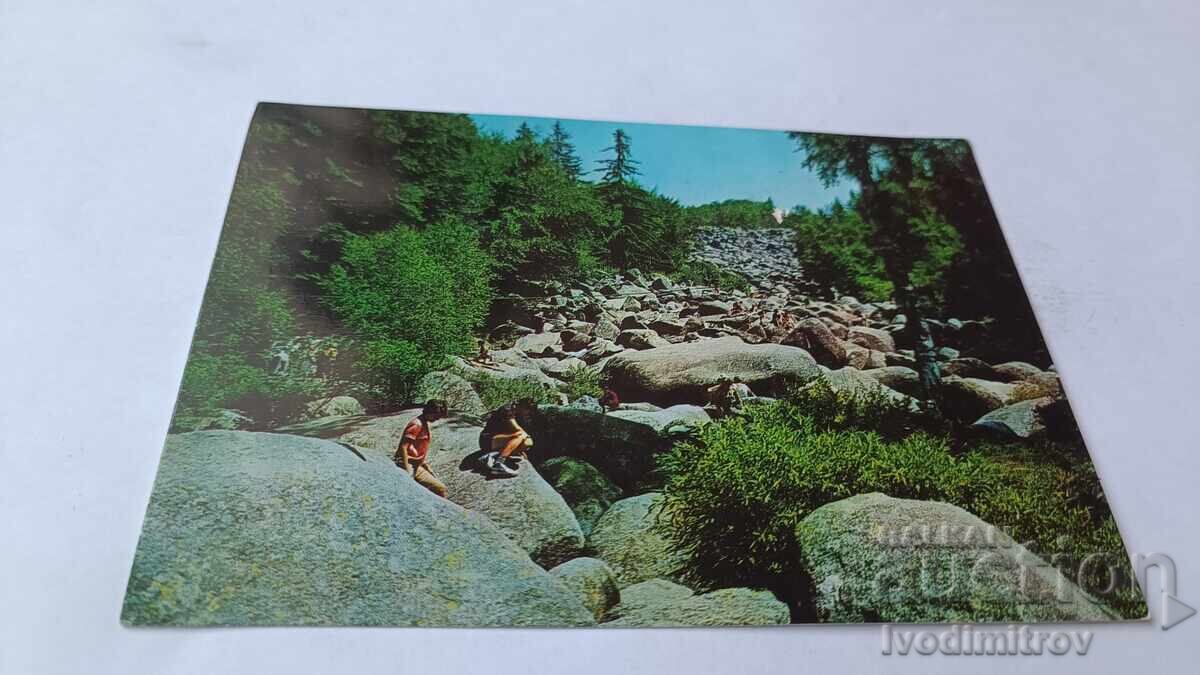 Пощенска картичка Витоша Местността Златните мостове 1972 Пощенска картичка Витоша Местността Златните мостове 1972