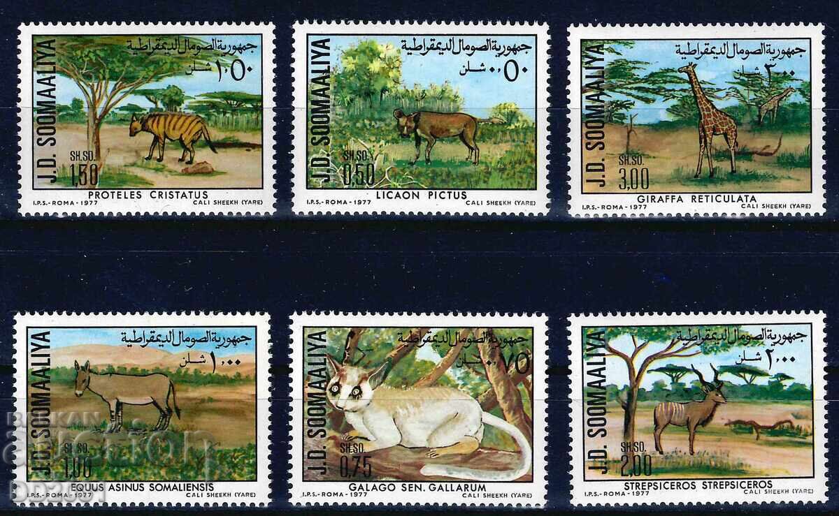 Somalia 1977 - Fauna MNH