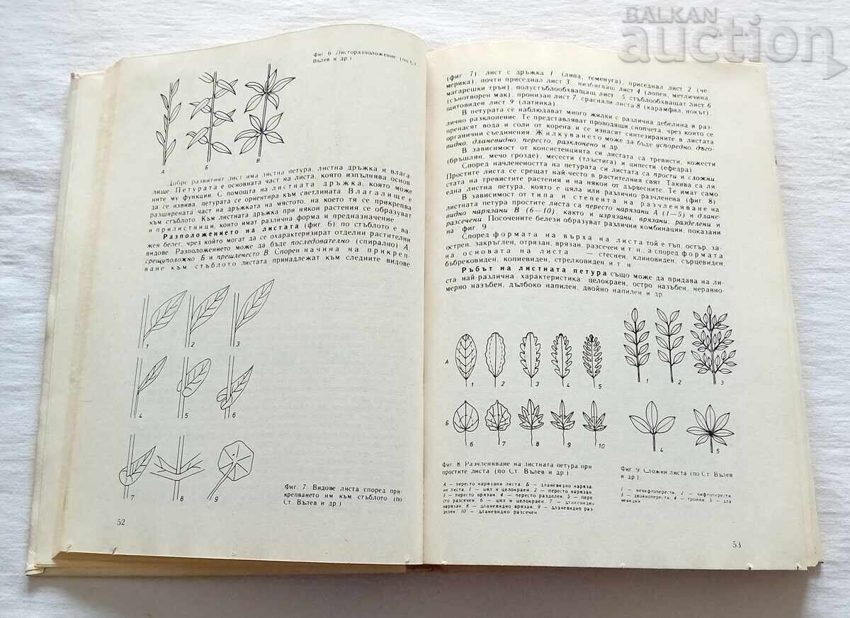ΦΥΣΙΚΟ ΦΑΡΜΑΚΕΙΟ ΠΑΜΟΥΚΟΦ/ΑΧΤΑΡΤΖΙΕΦ 1989 με τιμή 14.00 BGN | € 7.16