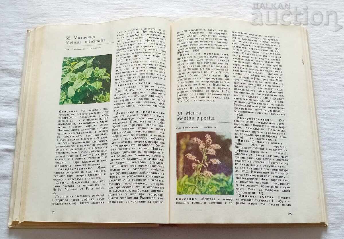 Δημοπρασία ΦΥΣΙΚΟ ΦΑΡΜΑΚΕΙΟ ΠΑΜΟΥΚΟΦ/ΑΧΤΑΡΤΖΙΕΦ 1989