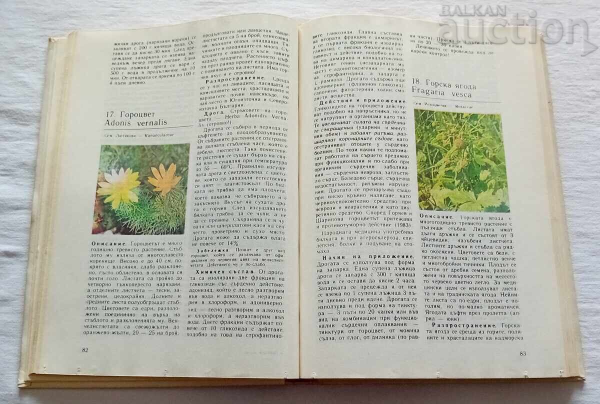 ΦΥΣΙΚΟ ΦΑΡΜΑΚΕΙΟ ΠΑΜΟΥΚΟΦ/ΑΧΤΑΡΤΖΙΕΦ 1989 - 7