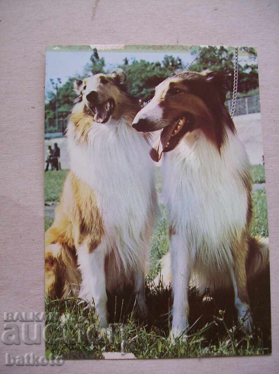 Old postcard Old postcard