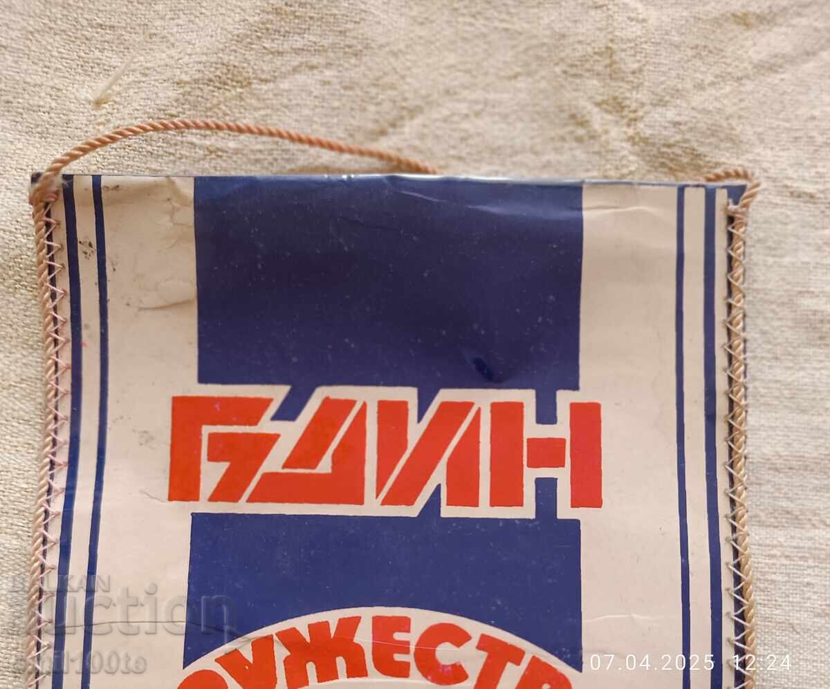 Licitație Steag DFS Bdin Vidin