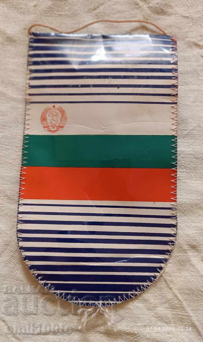 Livrarea Steag DFS Bdin Vidin