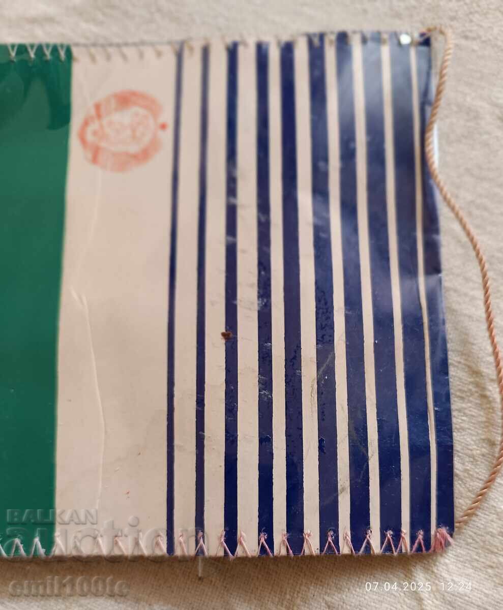 Steag DFS Bdin Vidin - 5