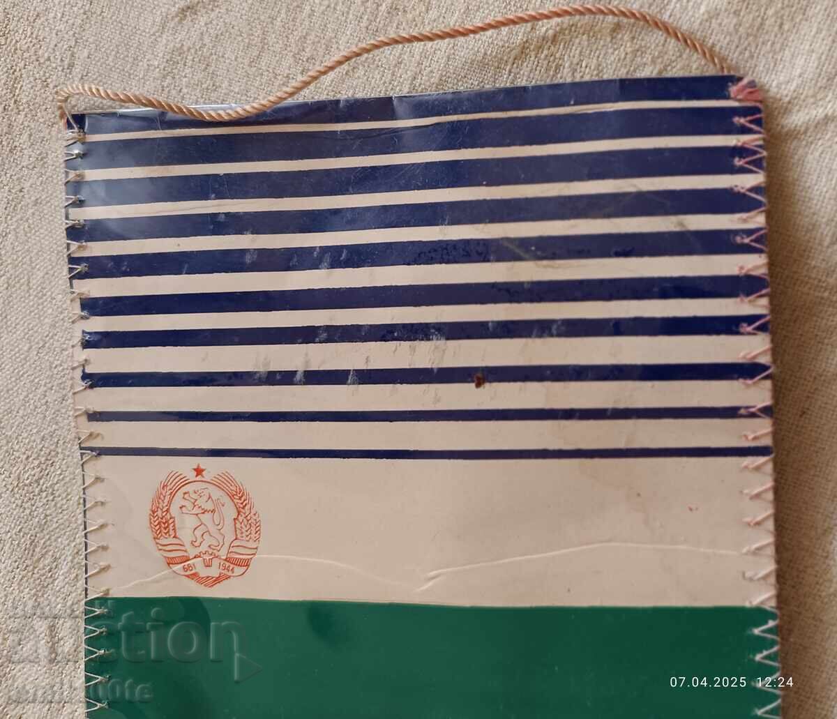 Steag DFS Bdin Vidin - 6