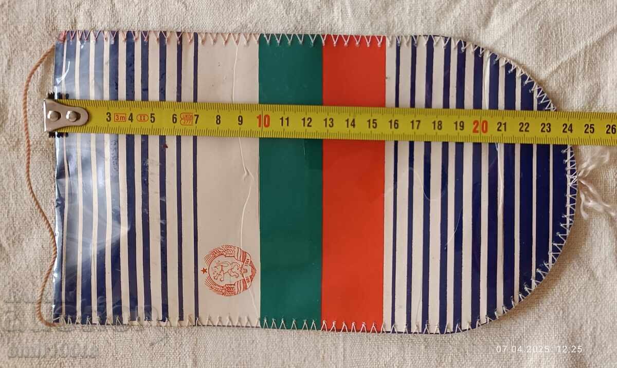 Steag DFS Bdin Vidin - 7