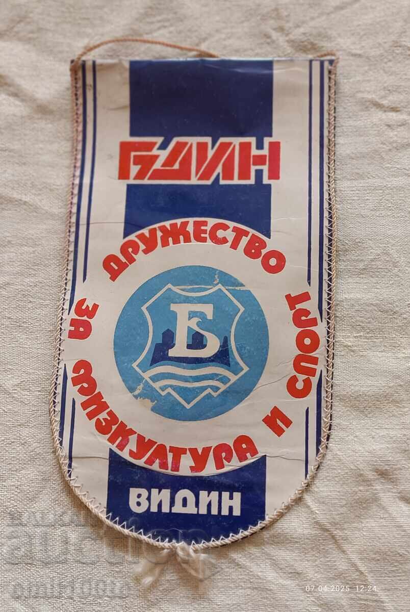 Steag DFS Bdin Vidin