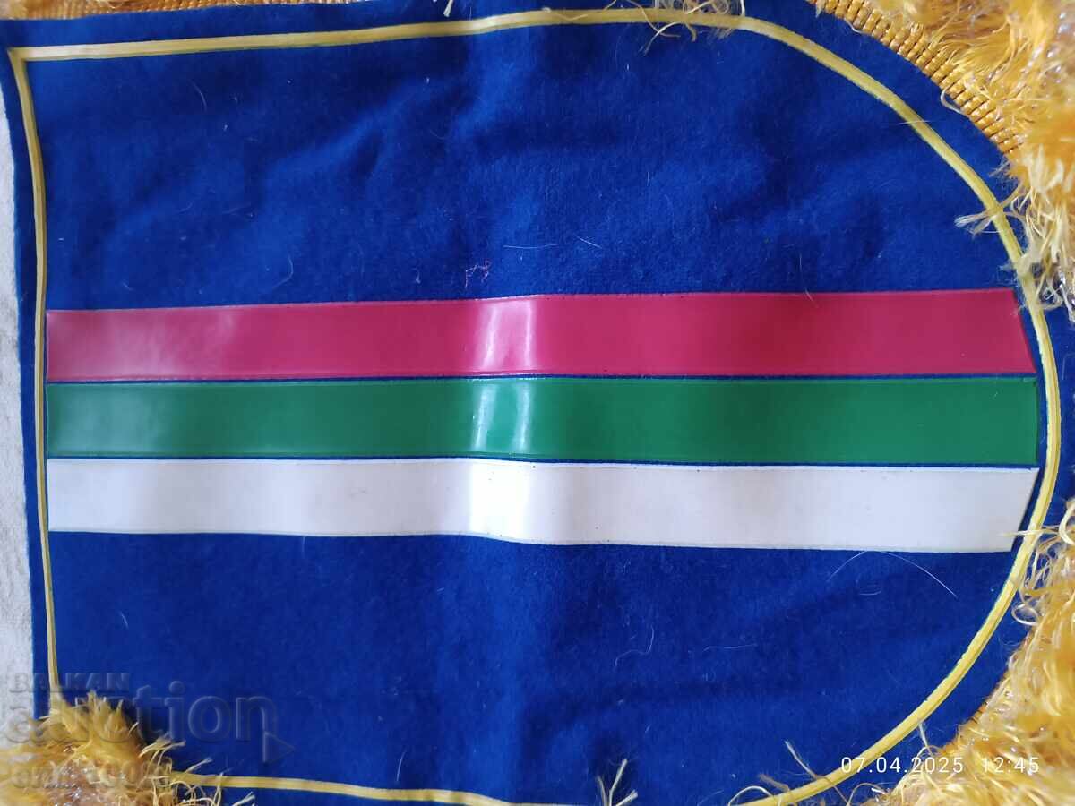 Flag DFS Dimitrovgrad - 5