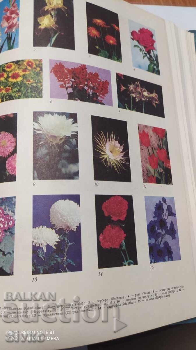 Kratka Bŭlgarska Entsiklopediya, tom 5, 1969 g, ilyustratsii, κα με τιμή 4.99 BGN | € 2.55