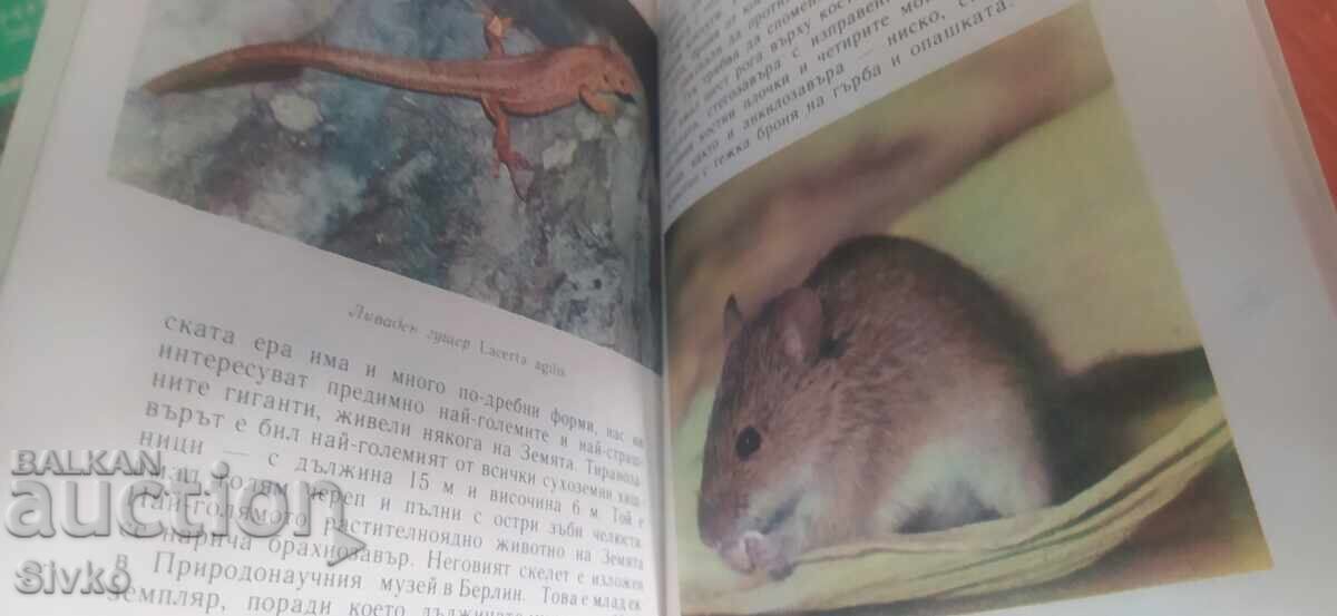 Billions of years of life, many photos and illustrations with price 1.99 BGN | € 1.02