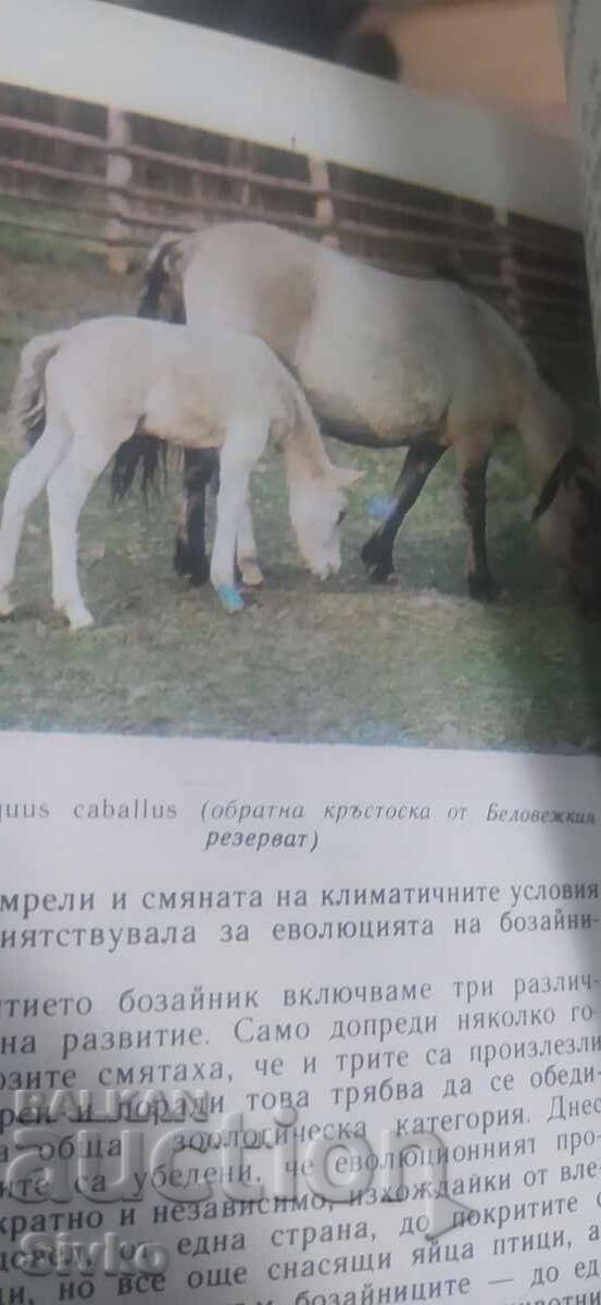 Delivery of Billions of years of life, many photos and illustrations