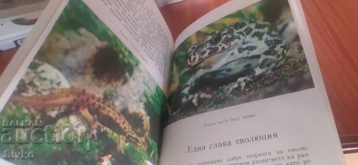 Billions of years of life, many photos and illustrations - 6