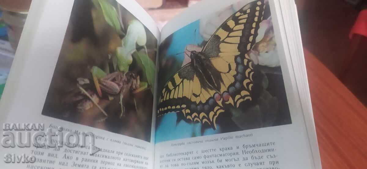 Billions of years of life, many photos and illustrations - 7