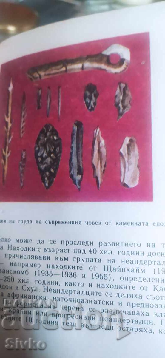 Where did the man, Arthur Windelband, come from, many photos and illustrations with price 1.99 BGN | € 1.02