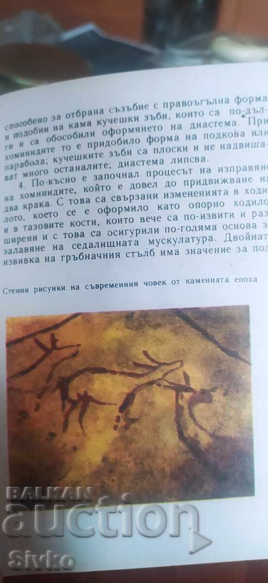 Delivery of Where did the man, Arthur Windelband, come from, many photos and illustrations