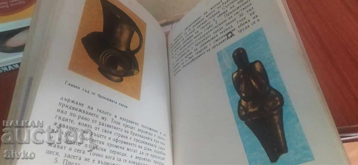 Where did the man, Arthur Windelband, come from, many photos and illustrations - 5