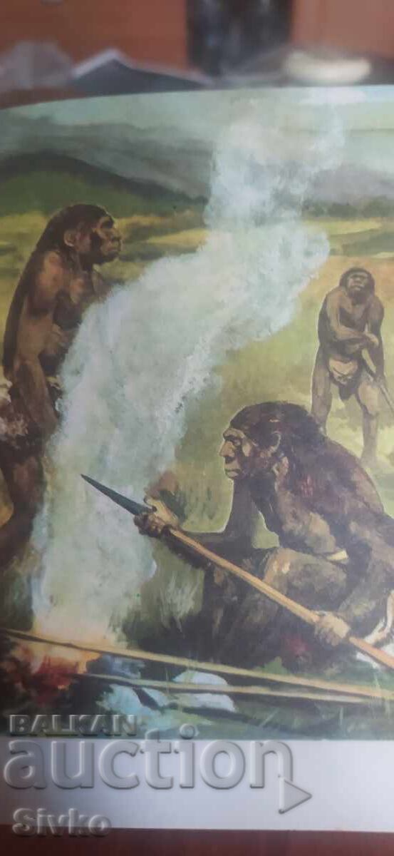 Where did the man, Arthur Windelband, come from, many photos and illustrations - 6