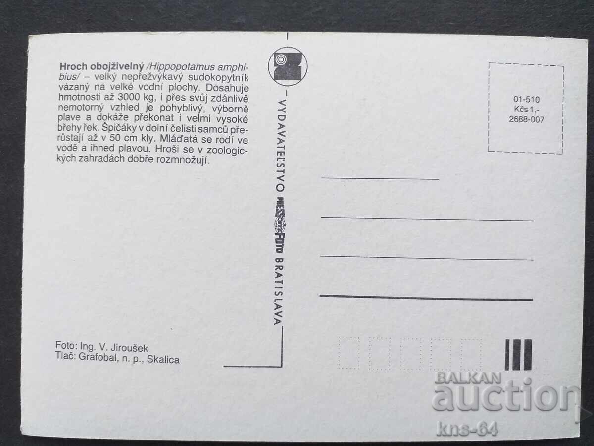 Animals Fauna with price 0.70 BGN | € 0.36