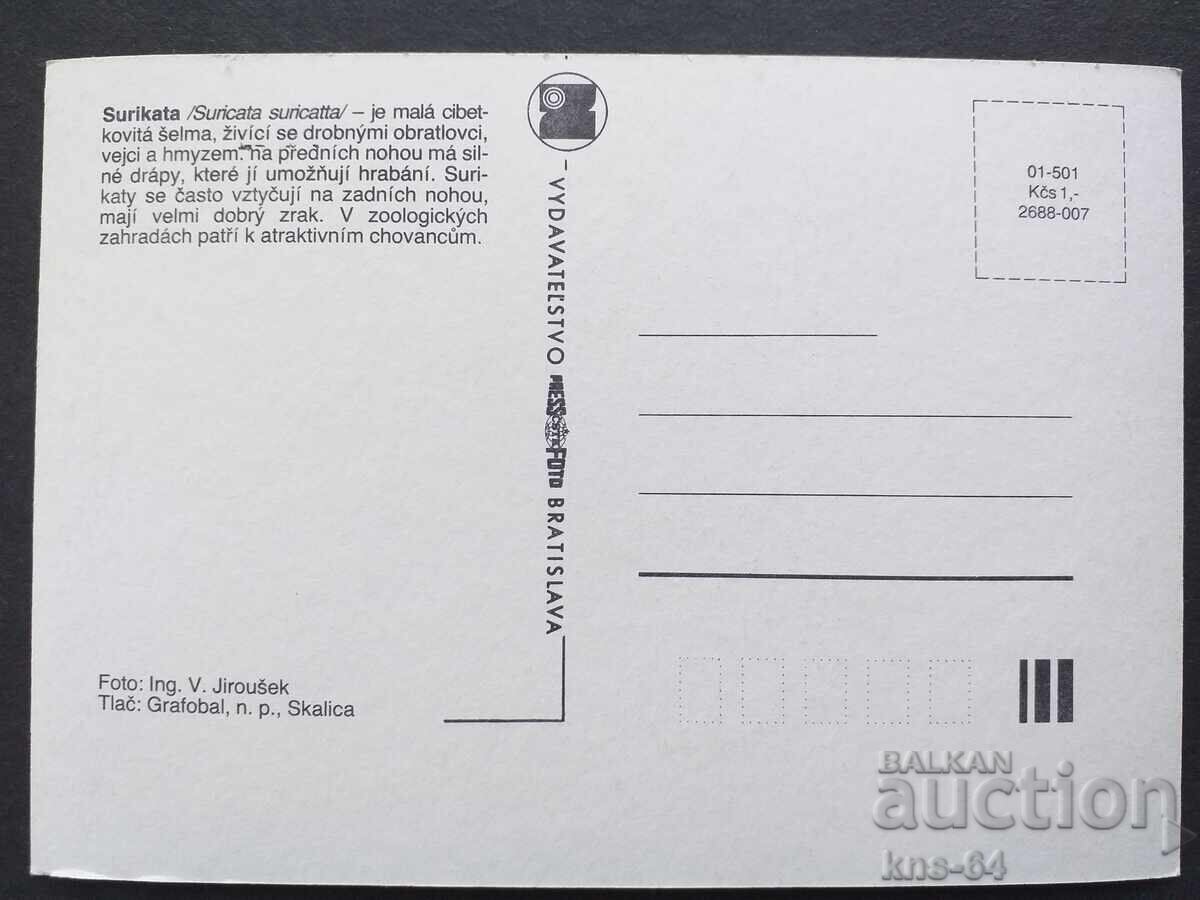 Animals Fauna with price 0.70 BGN | € 0.36