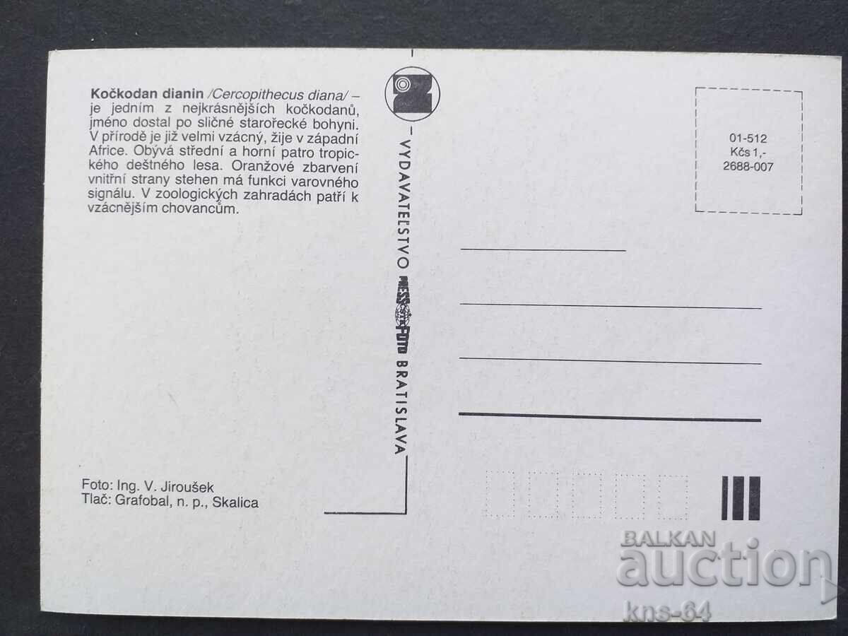 Animals Fauna with price 0.70 BGN | € 0.36 Animals Fauna with price 0.70 BGN | € 0.36