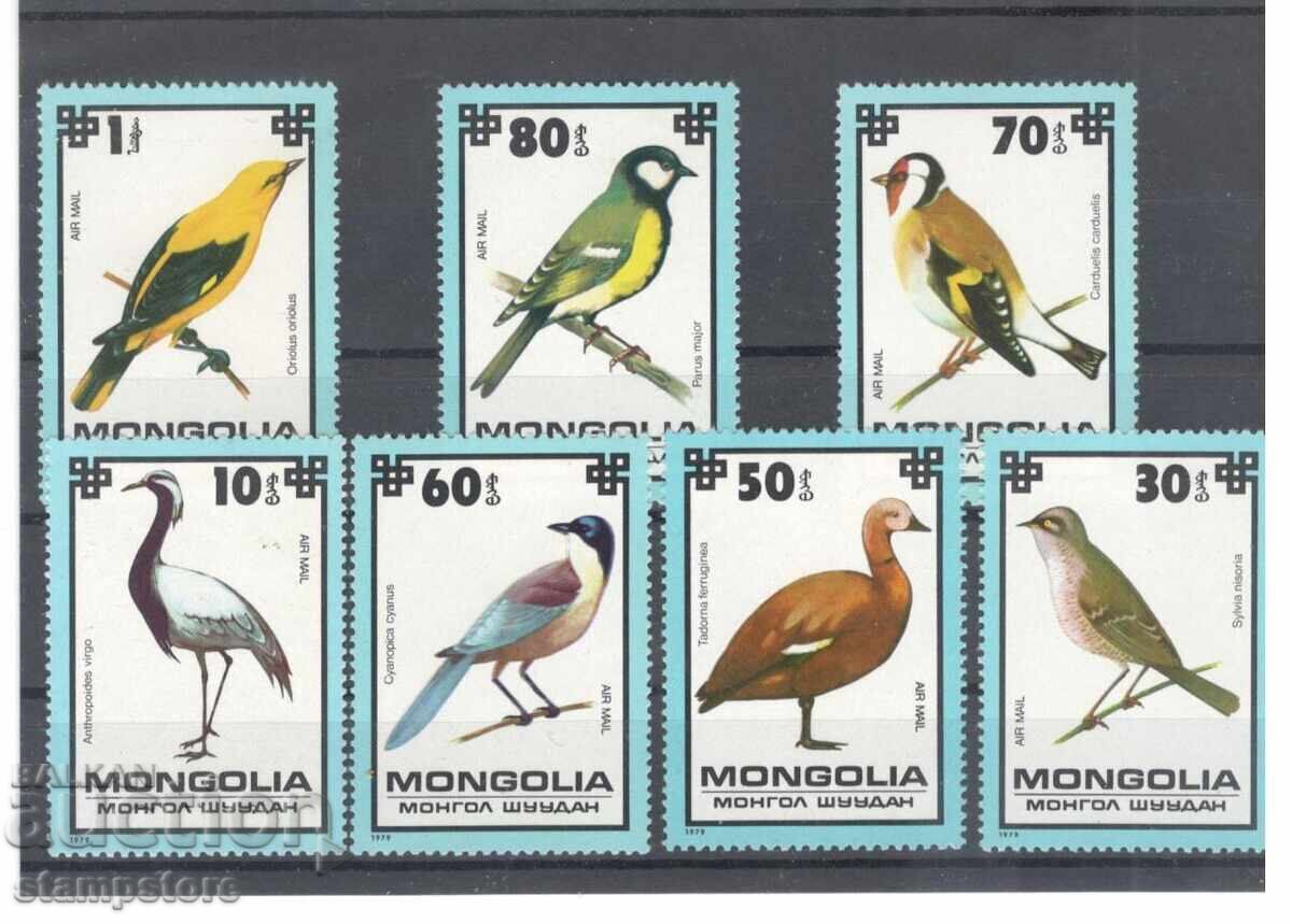 Mongolia - Birds