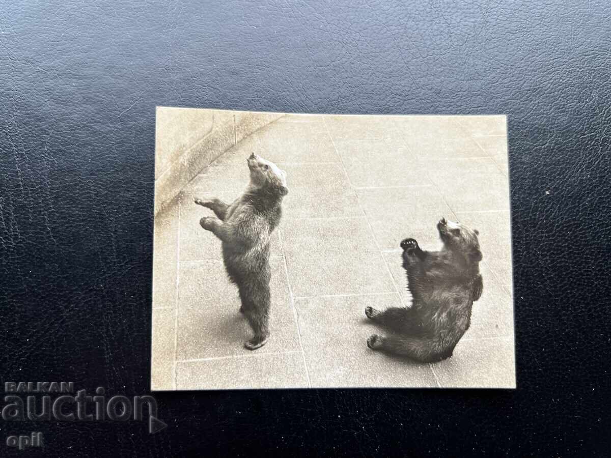 Μικρή Παλιά Κάρτα - Ελβετία - Βέρνη