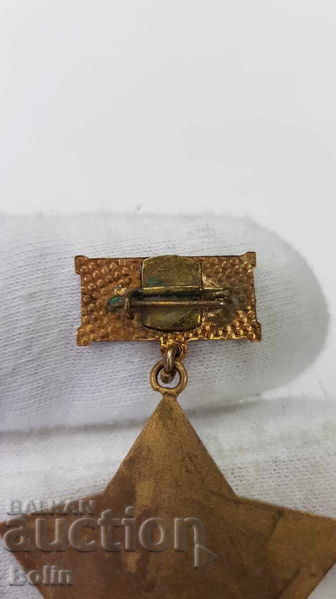 Foarte rară insignă comunistă, ecuson Miner Merituos 1960-1970 - 6