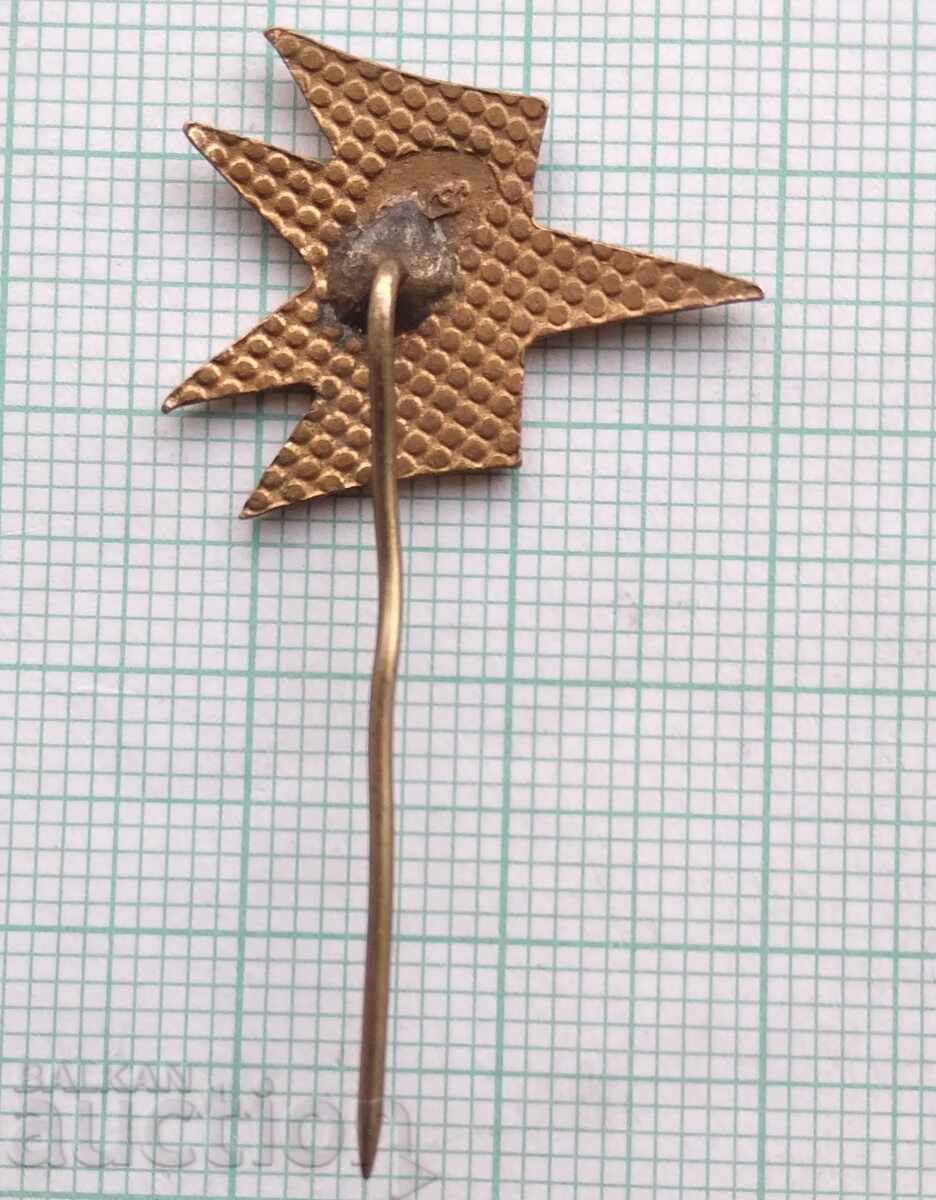 Licitație 18815 Insignă - aviație BGA Balkan - bronz email Licitație 18815 Insignă - aviație BGA Balkan - bronz email