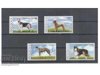 Moldova - Dogs