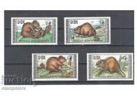 Mongolia - Fauna