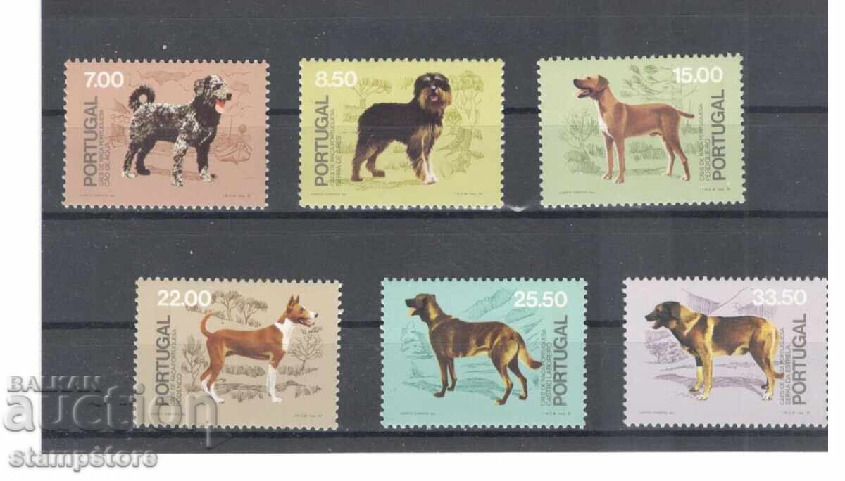 Portugal - Dogs
