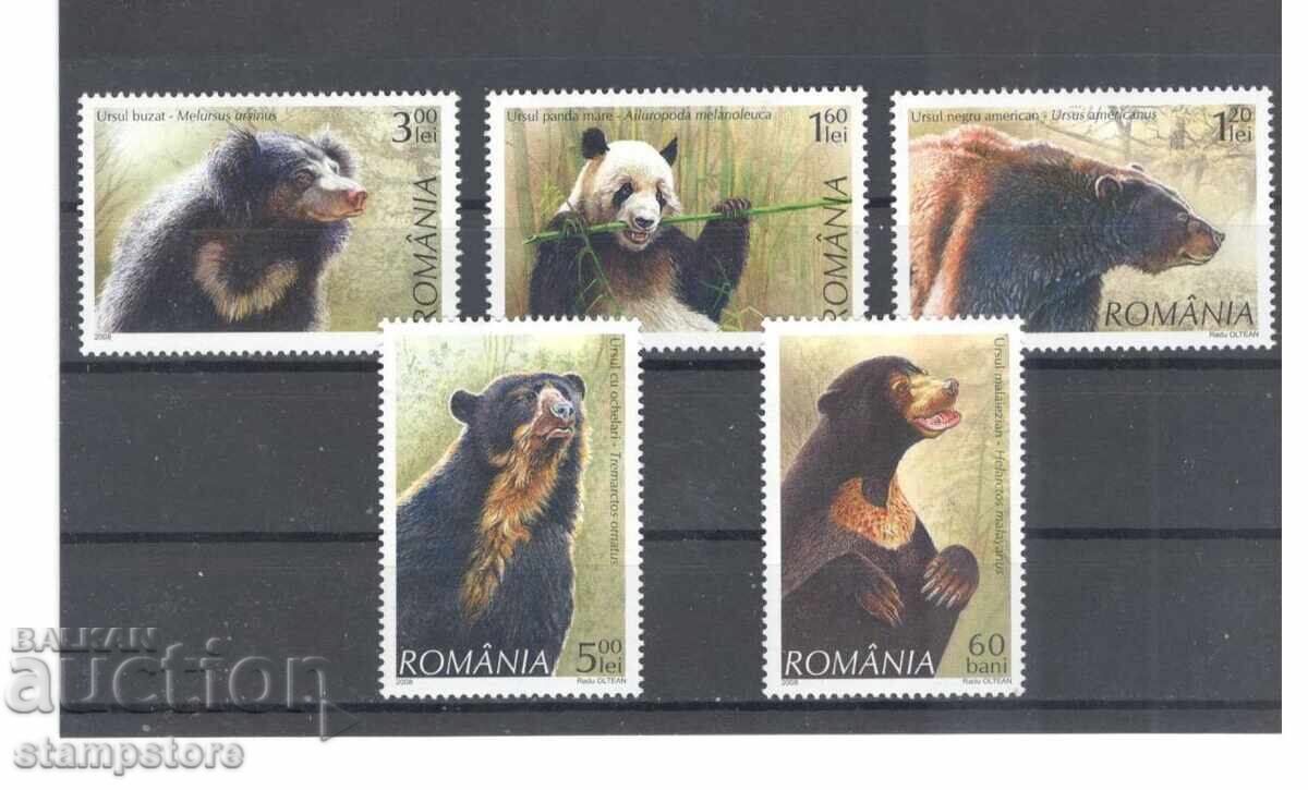 Romania - Bears