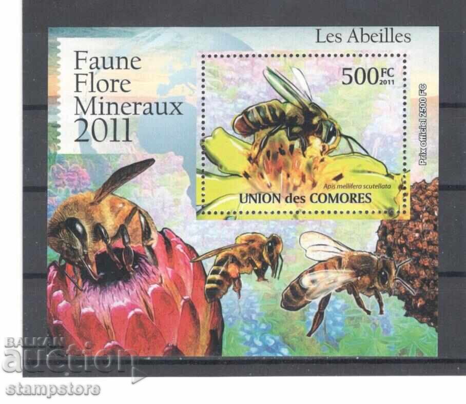 Comoros Islands - Bees
