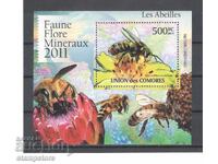 Comoros Islands - Bees
