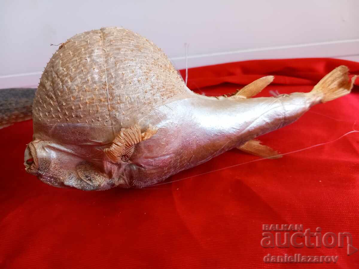 Prepared Exotic Ocean FISH, Fish - 6 Prepared Exotic Ocean FISH, Fish - 6