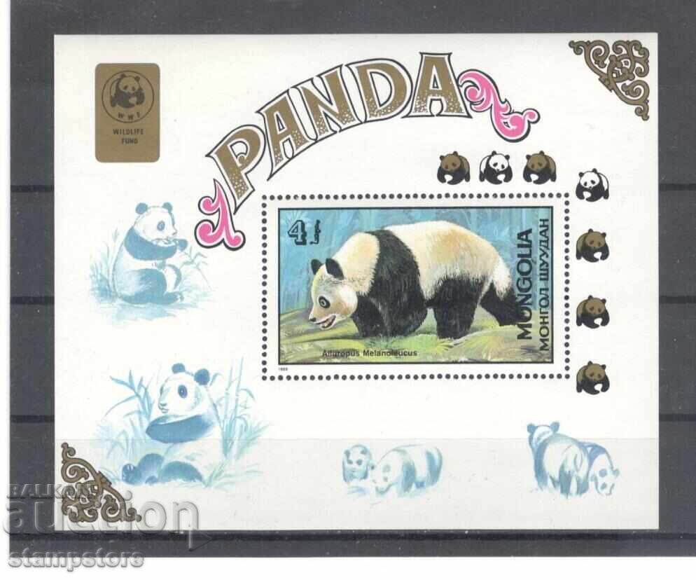 Mongolia - Pandi Mongolia - Pandi