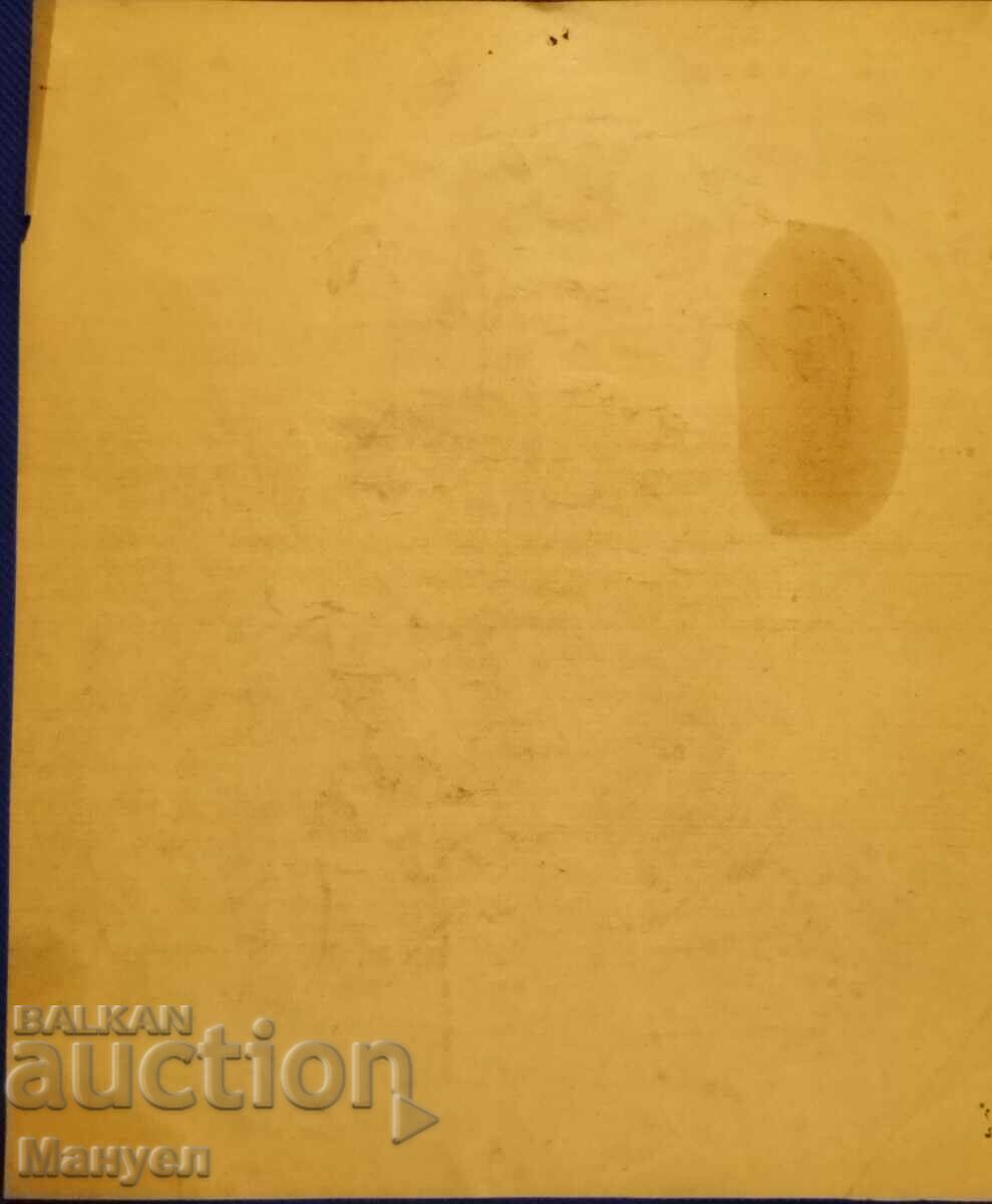 Licitație Desen Licitație Desen