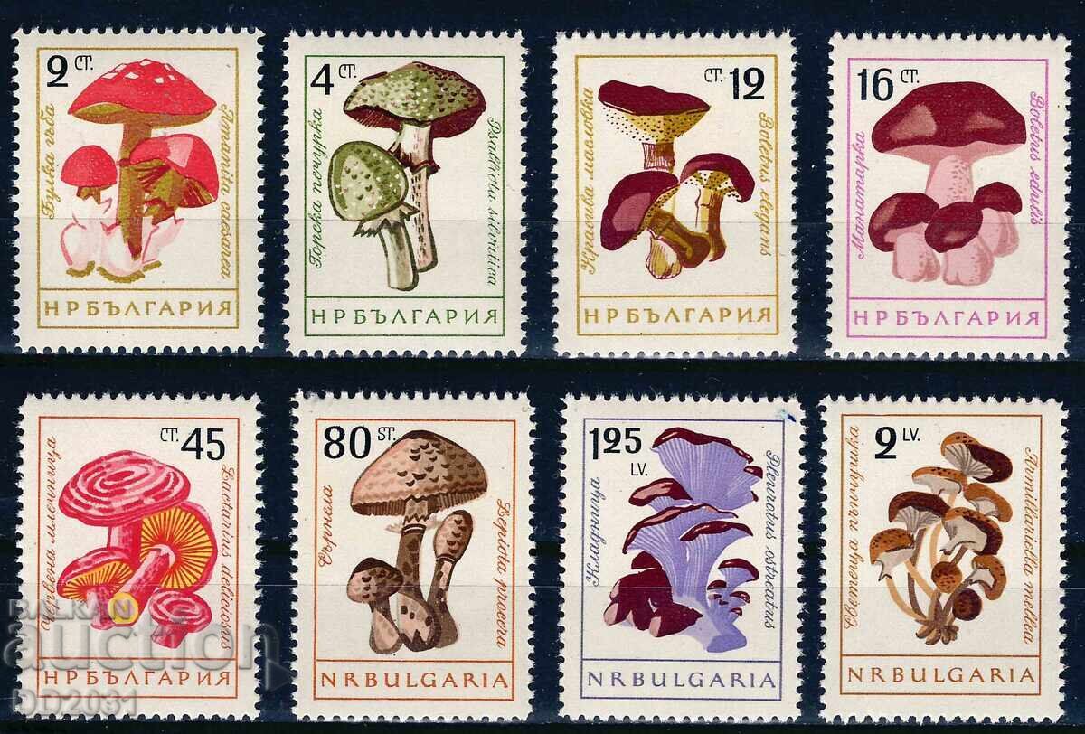 Bulgaria 1961 - mushrooms MNH