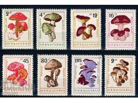 Bulgaria 1961 - mushrooms MNH