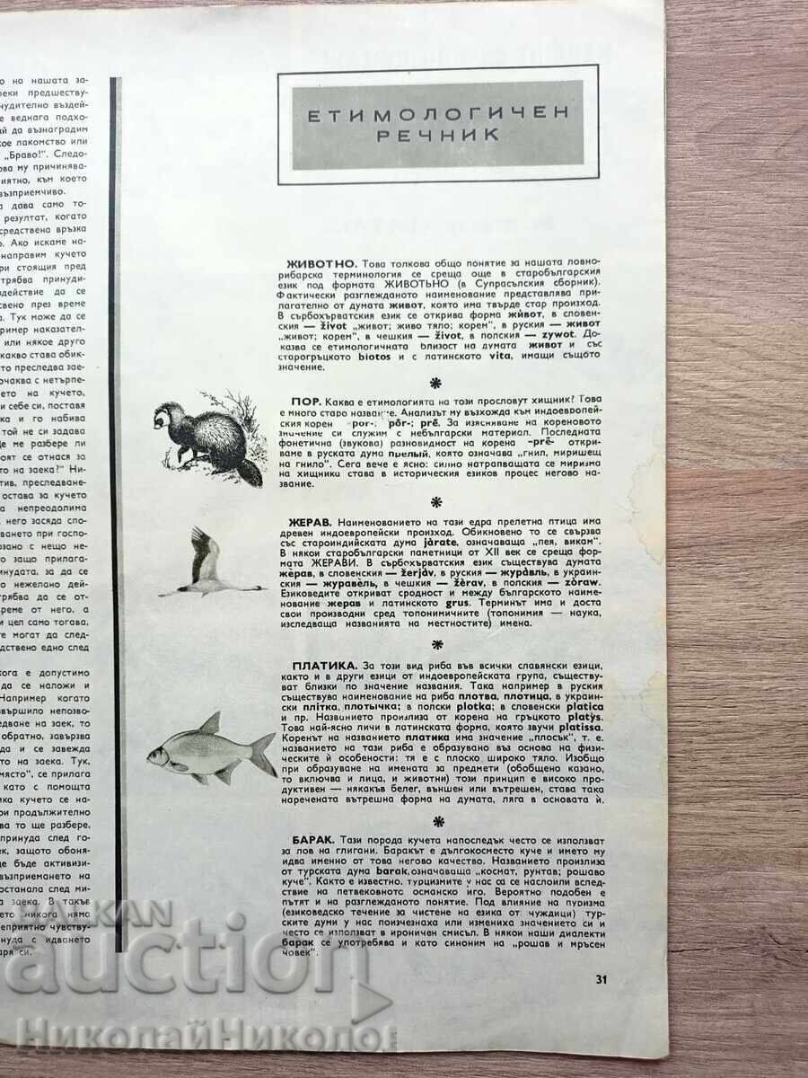 1970 ΠΑΛΑΙΟ ΠΕΡΙΟΔΙΚΟ ΚΥΝΗΓΙ ΚΑΙ ΨΑΡΕΜΑ ΕΤΟΣ LXX ΤΕΥΧΟΣ 8-9 Β133 - 6