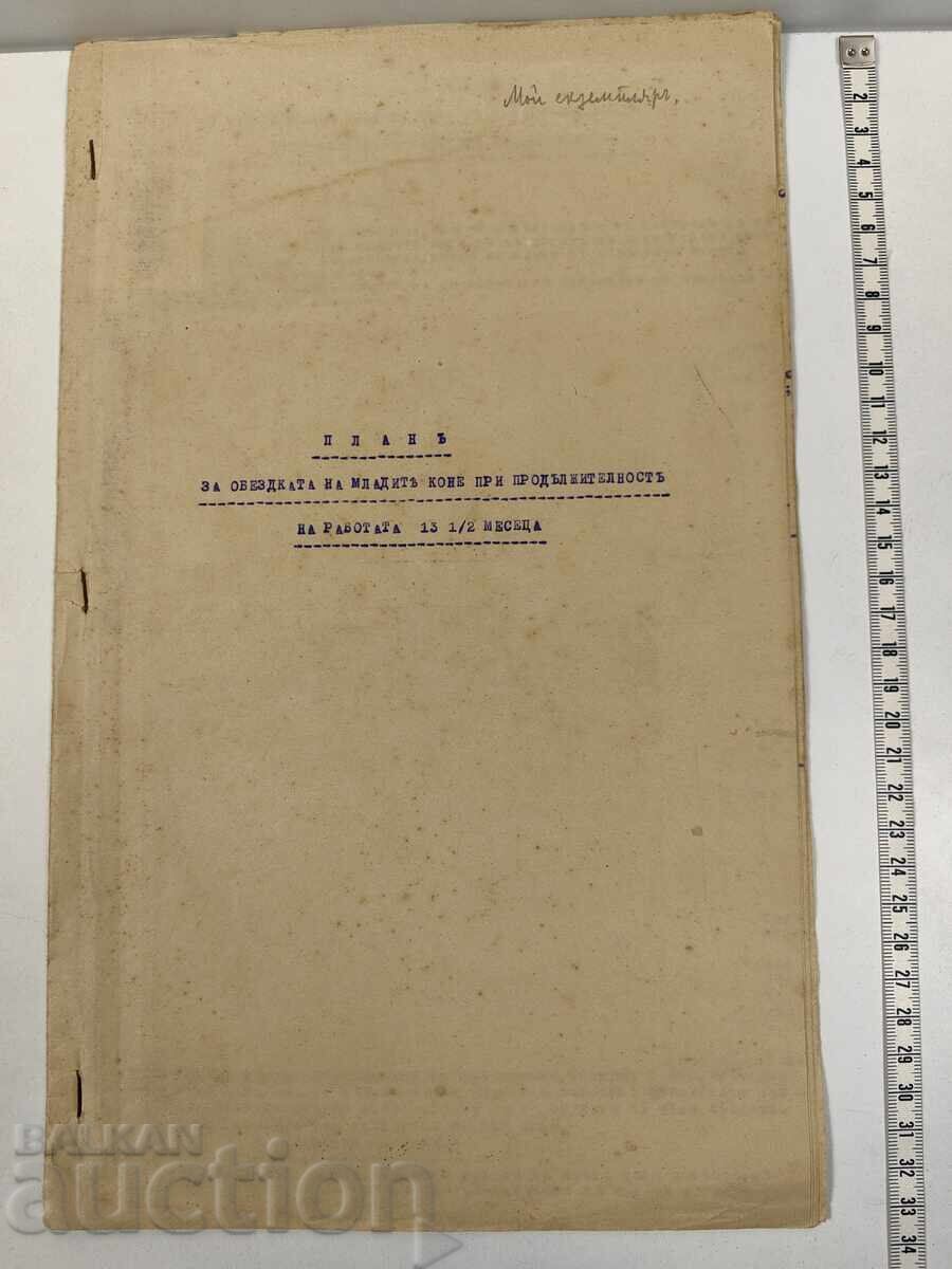 Plan de dresaj pentru caii tineri la durata de lucru
