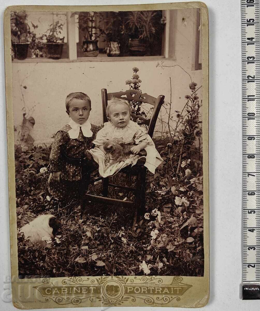 COPII CÂINE PISICĂ PORTRET COPII FOTOGRAFIE CARTON COPII CÂINE PISICĂ PORTRET COPII FOTOGRAFIE CARTON